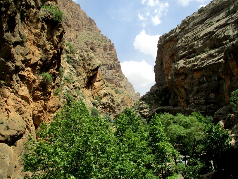 چشمه ناز ونک سمیرم