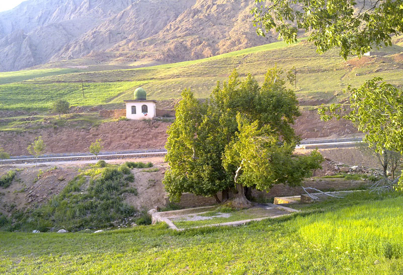 چشمه ناز ونک سمیرم