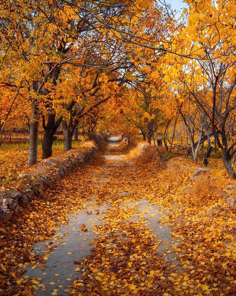 پارک سرچشمه خوانسار