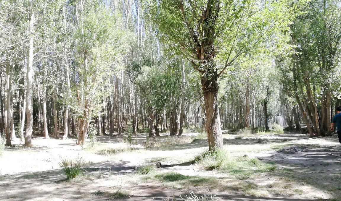 روستای اسفرجان اصفهان