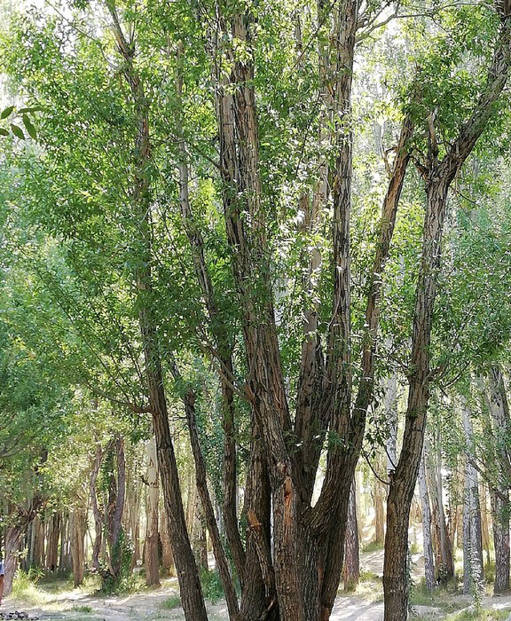 روستای اسفرجان اصفهان