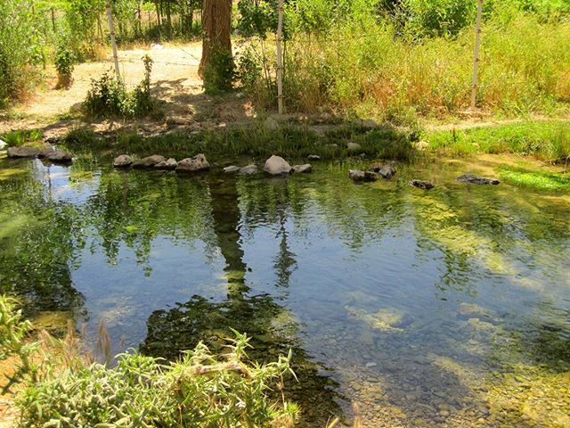 چشمه دیمه کوهرنگ