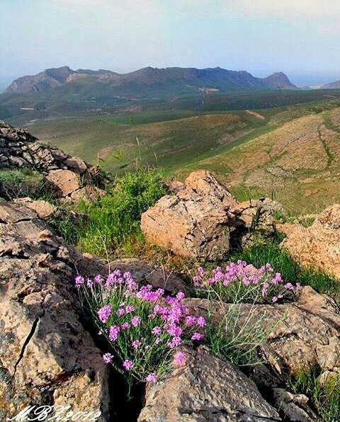 روستای هیو