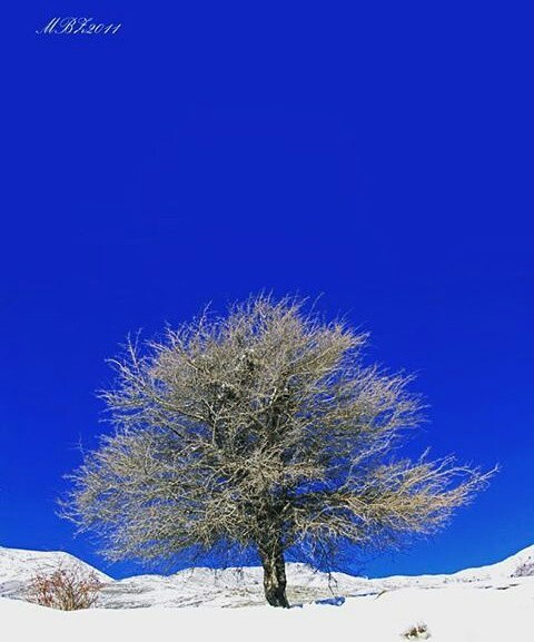 روستای هیو