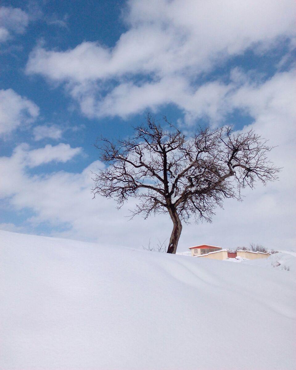 روستای هیو