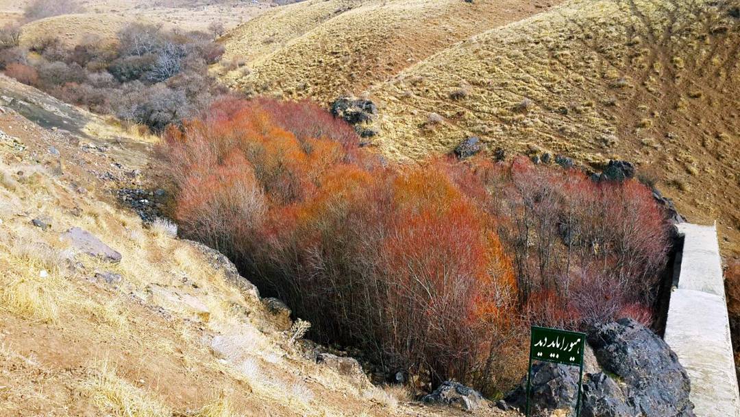 روستای هیو