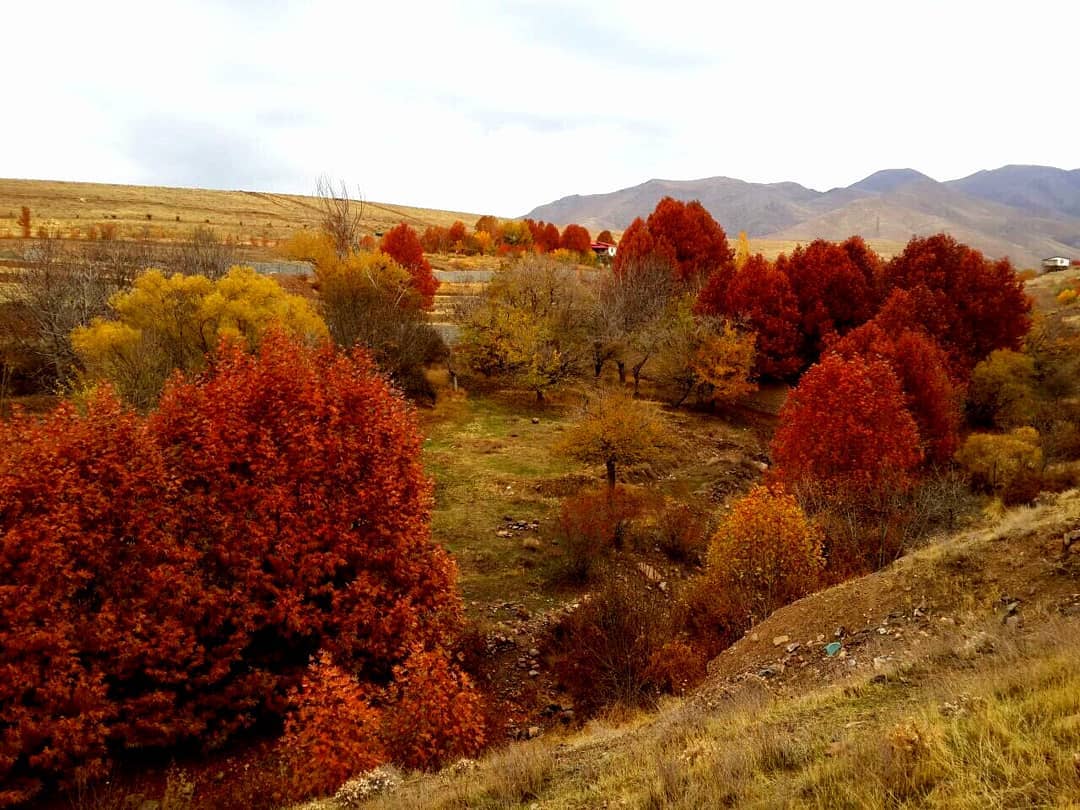 روستای هیو