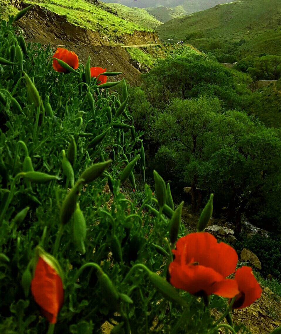 روستای هیو