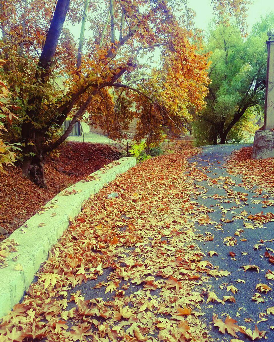 روستای هیو