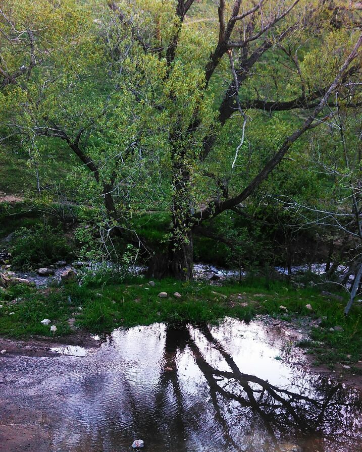 روستای هیو
