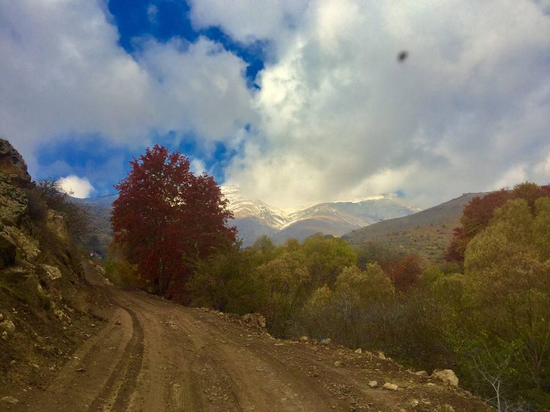 روستای هیو