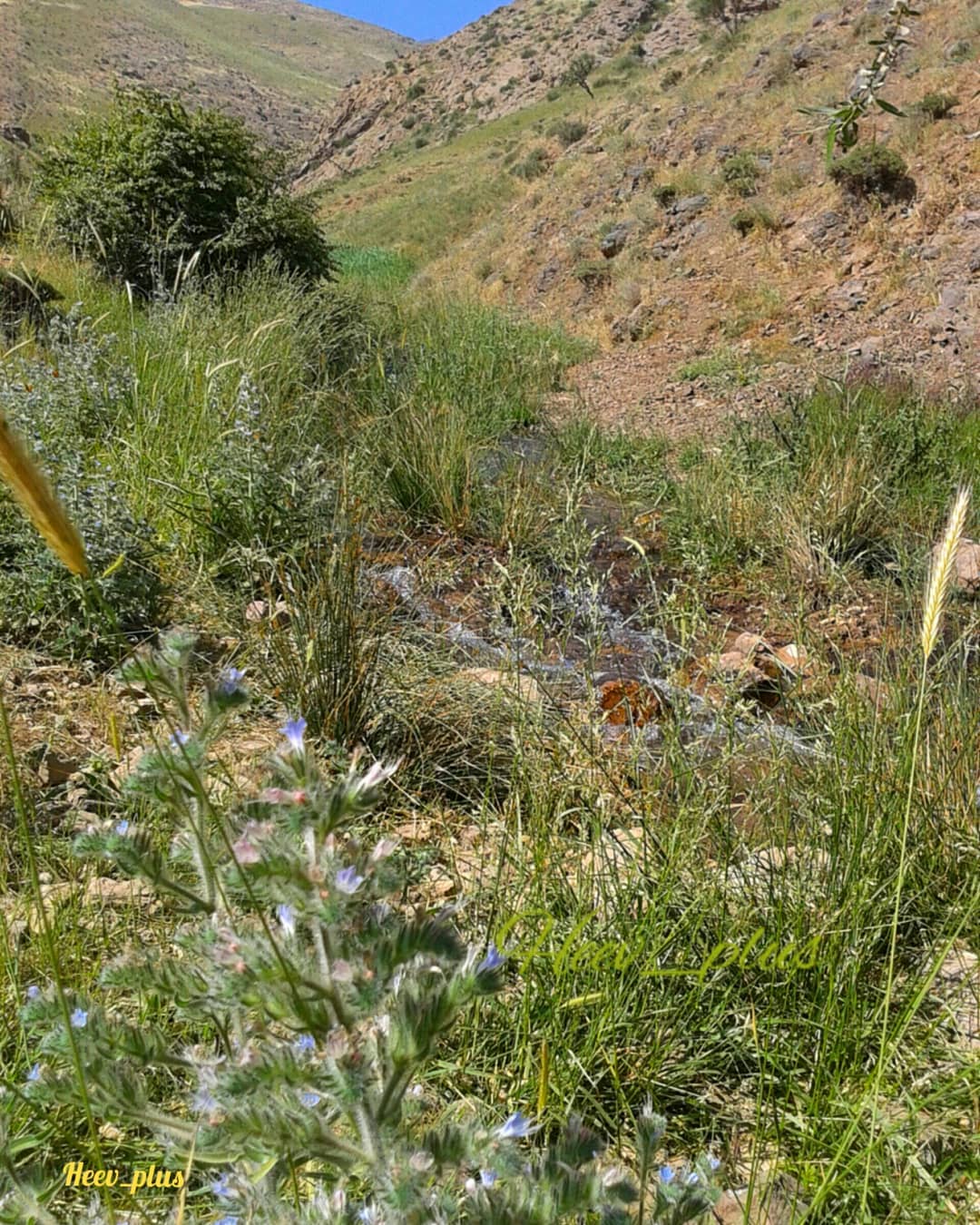 روستای هیو