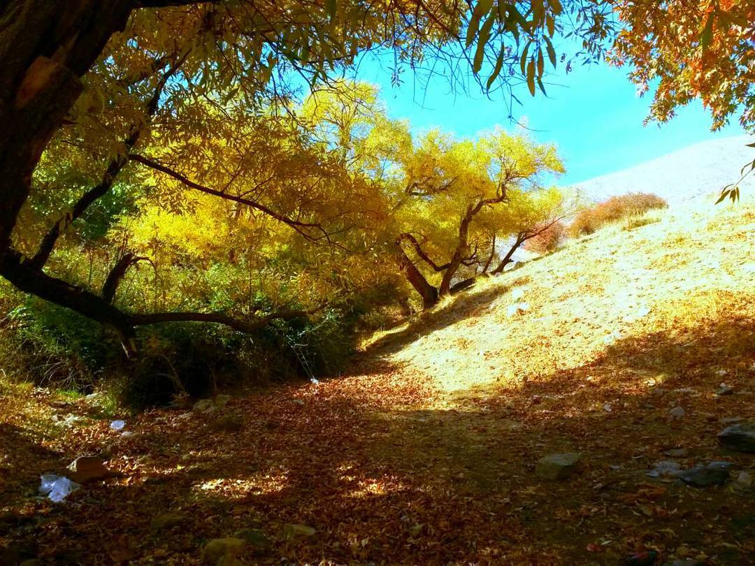 روستای هیو