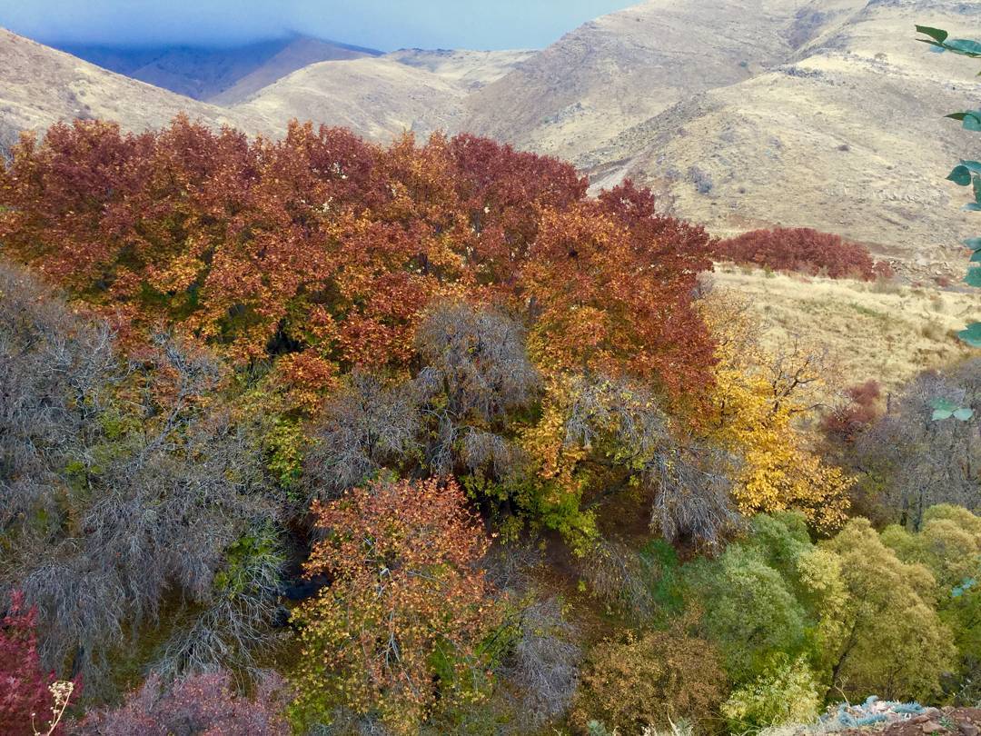 روستای هیو