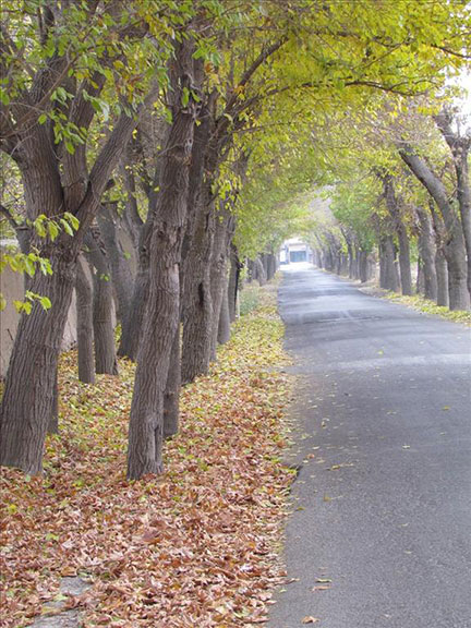 روستای فرخ آباد فردیس