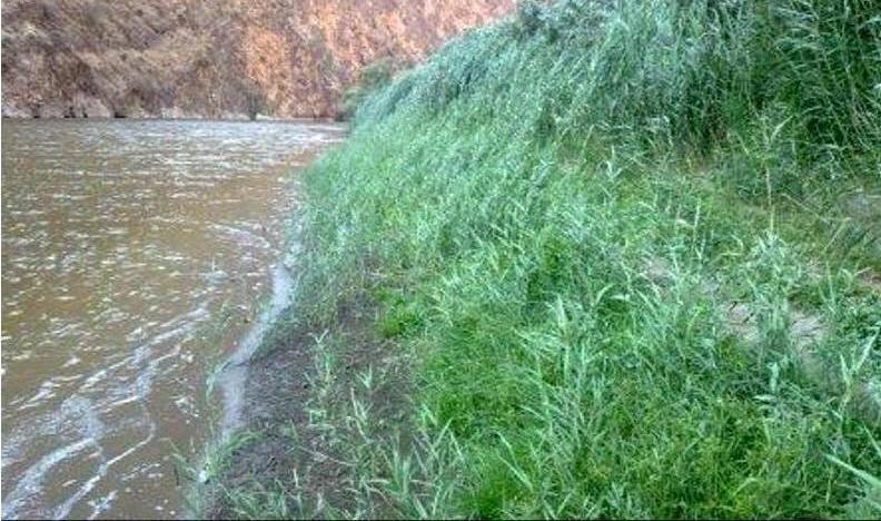 تنگ سازبن سیروان