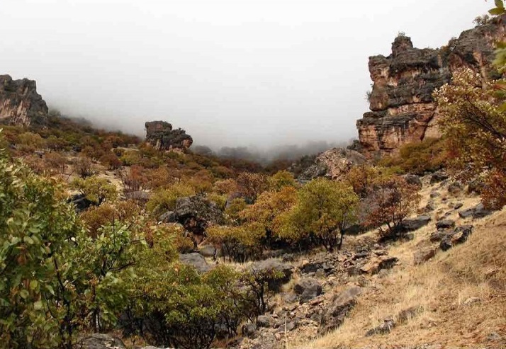 روستای زنجیره علیا ایلام