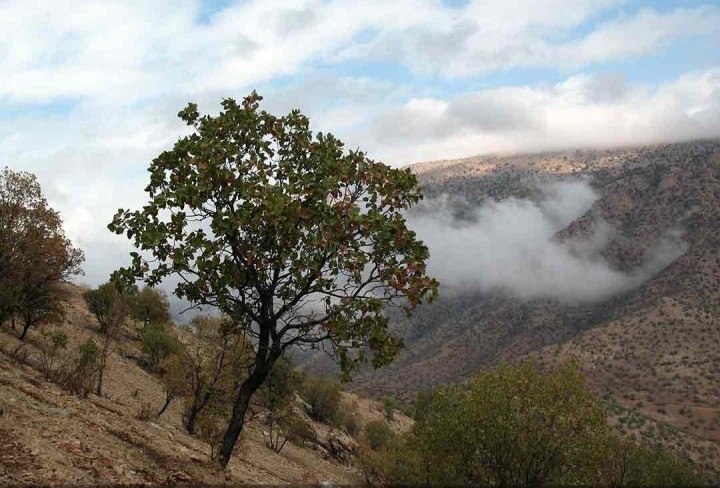 روستای زنجیره علیا ایلام