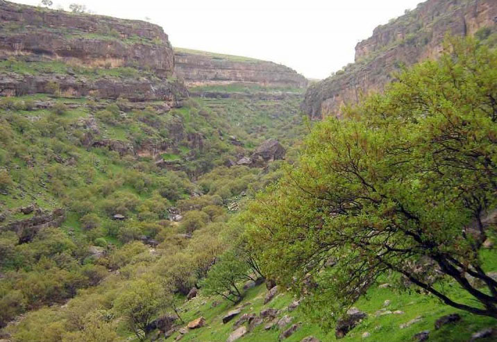 روستای زنجیره علیا ایلام