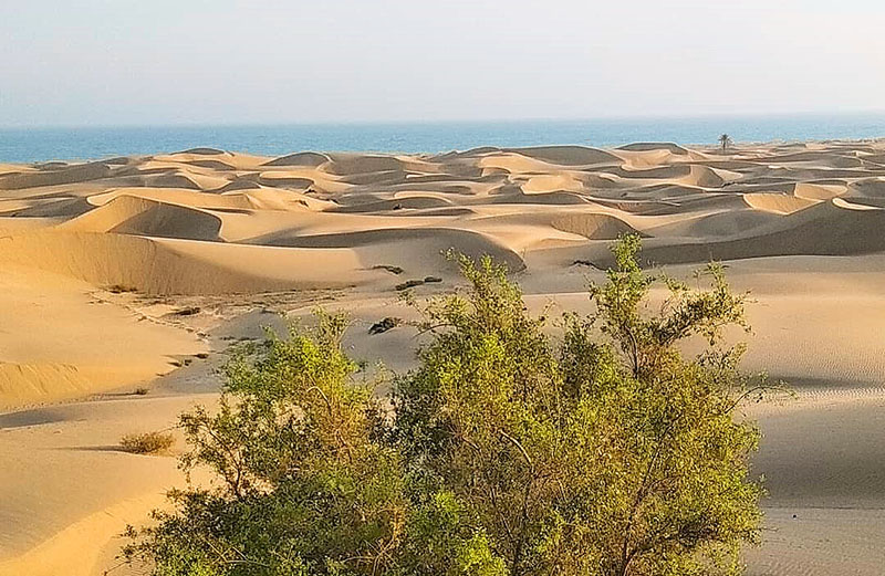 روستای تنگ کنارک