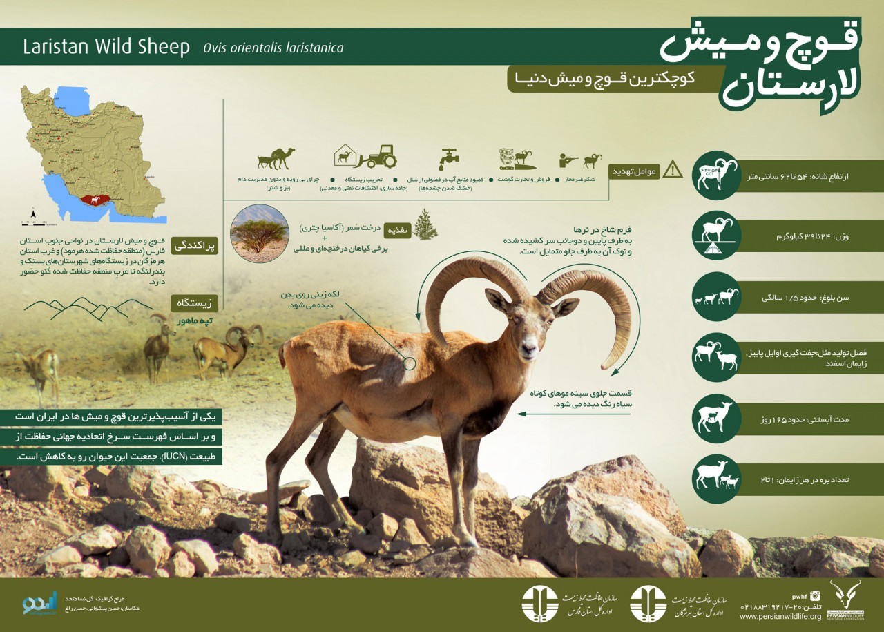 منطقه شکار ممنوع کوه هوا و تنگخور لامرد