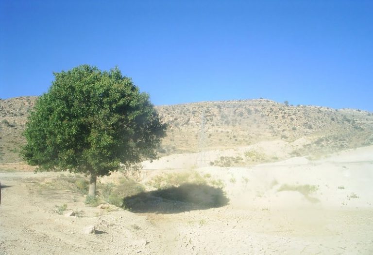 منطقه شکار ممنوع کوه هوا و تنگخور لامرد