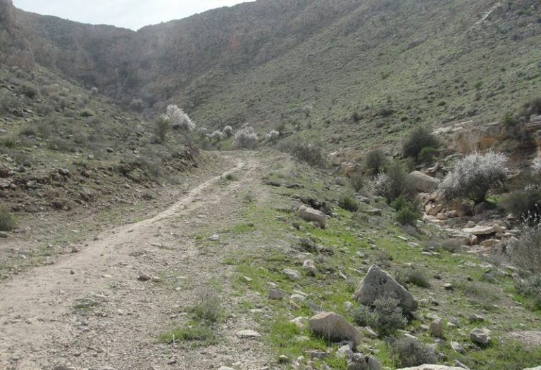 منطقه شکار ممنوع کوه هوا و تنگخور لامرد