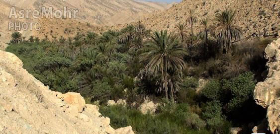 تنگ مهر فارس