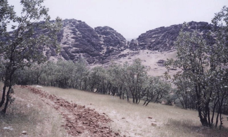 پارک جنگلی شوراب لرستان