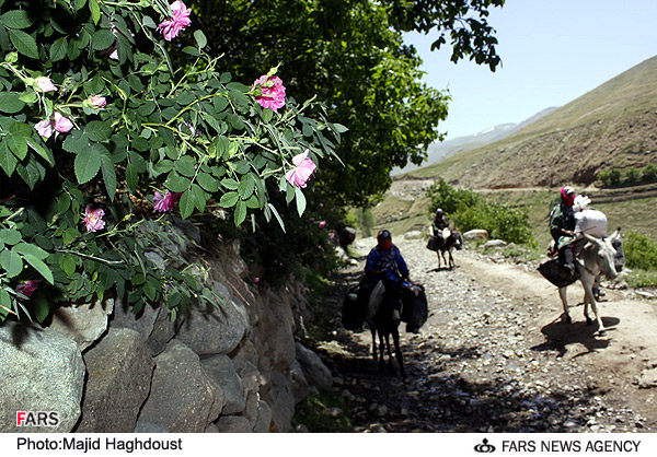 روستای گنبرف