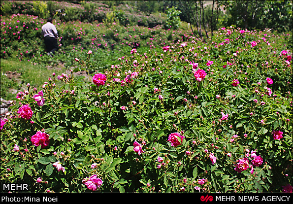 روستای گنبرف
