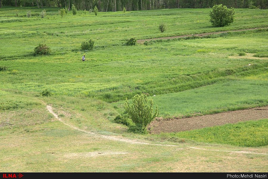 روستای چناقچی علیا