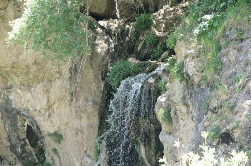 روستای چناقچی علیا