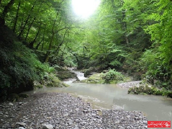 روستای چناقچی علیا