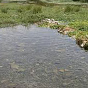 چشمه عمارت شازند