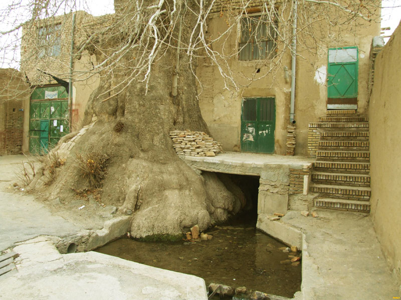 مسجد شش ناو تفرش