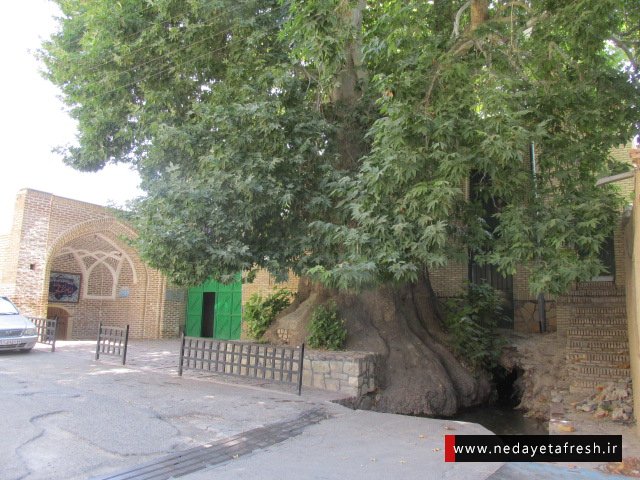 مسجد شش ناو تفرش