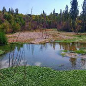 روستای کبوران تفرش