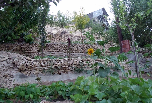 روستای وفس کمیجان
