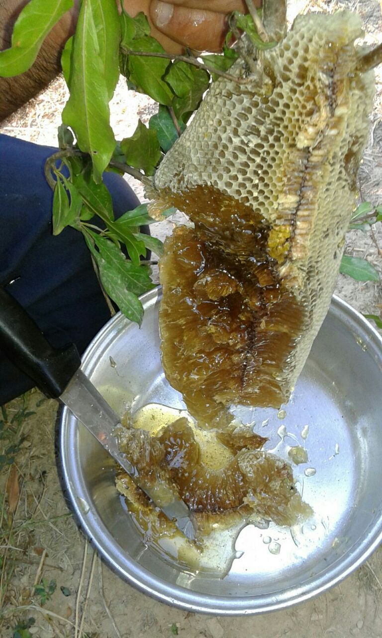 روستای وفس کمیجان