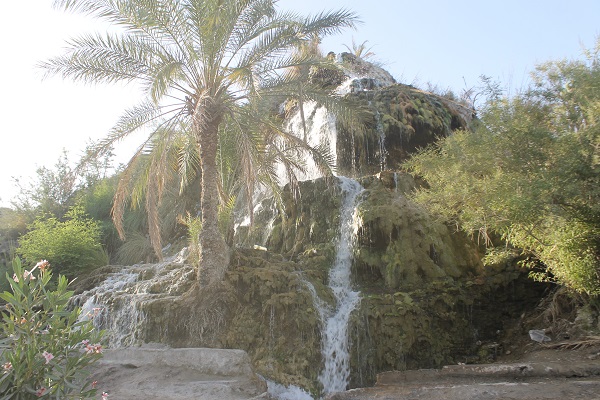 تزرج حاجی آباد هرمزگان