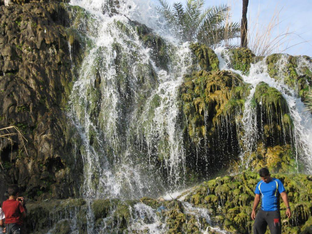 تزرج حاجی آباد هرمزگان