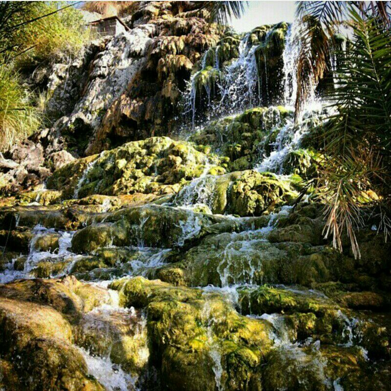 تزرج حاجی آباد هرمزگان