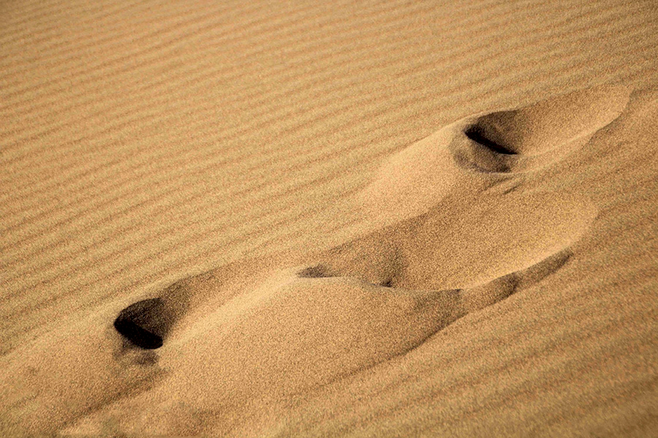 شوش قوم هریس