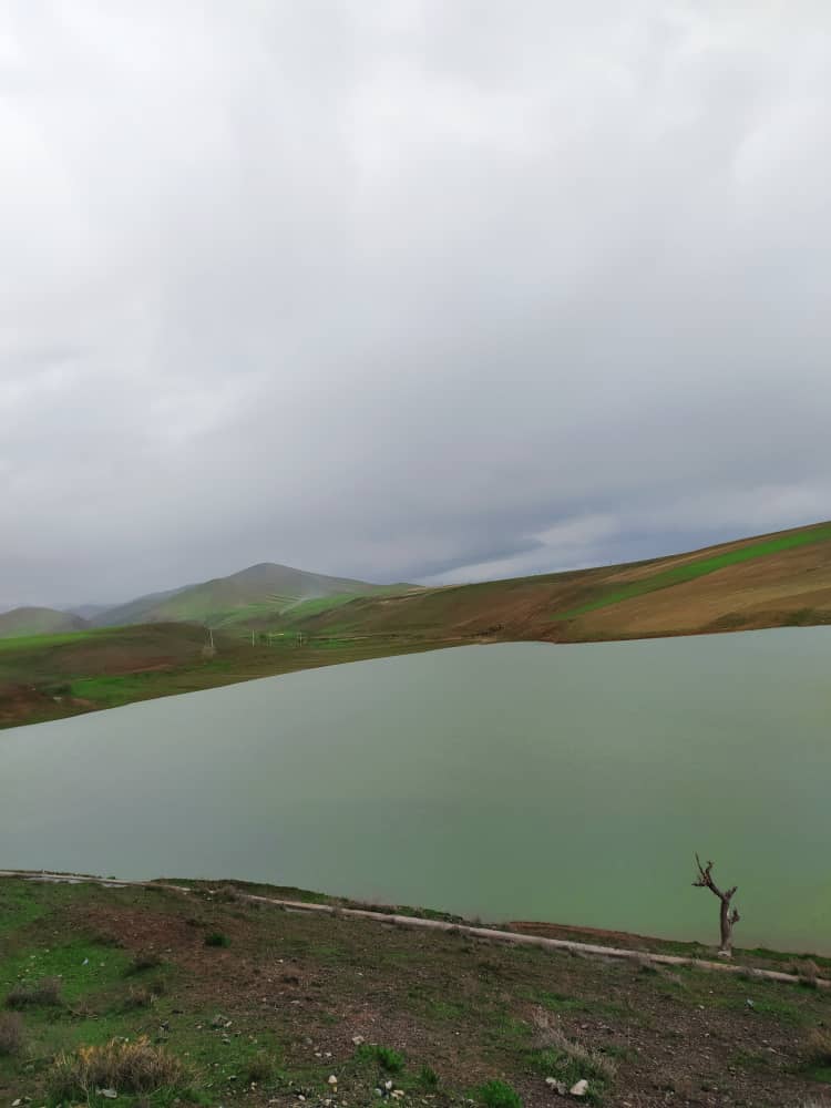 شوش قوم هریس