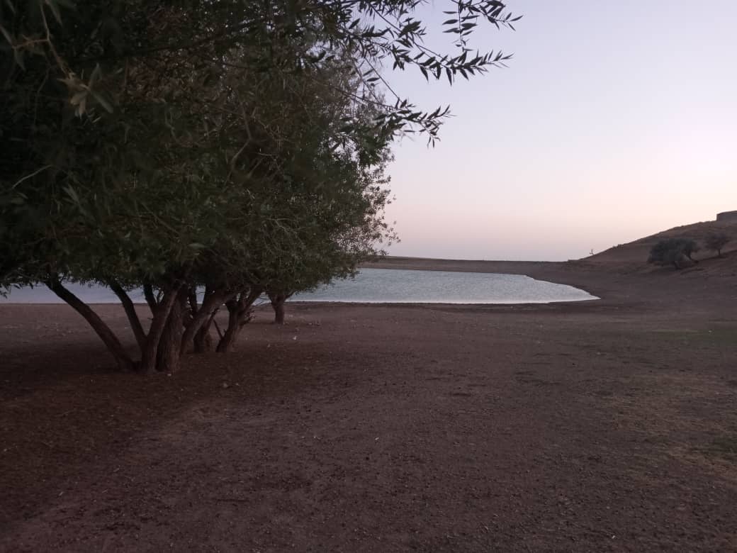 شوش قوم هریس