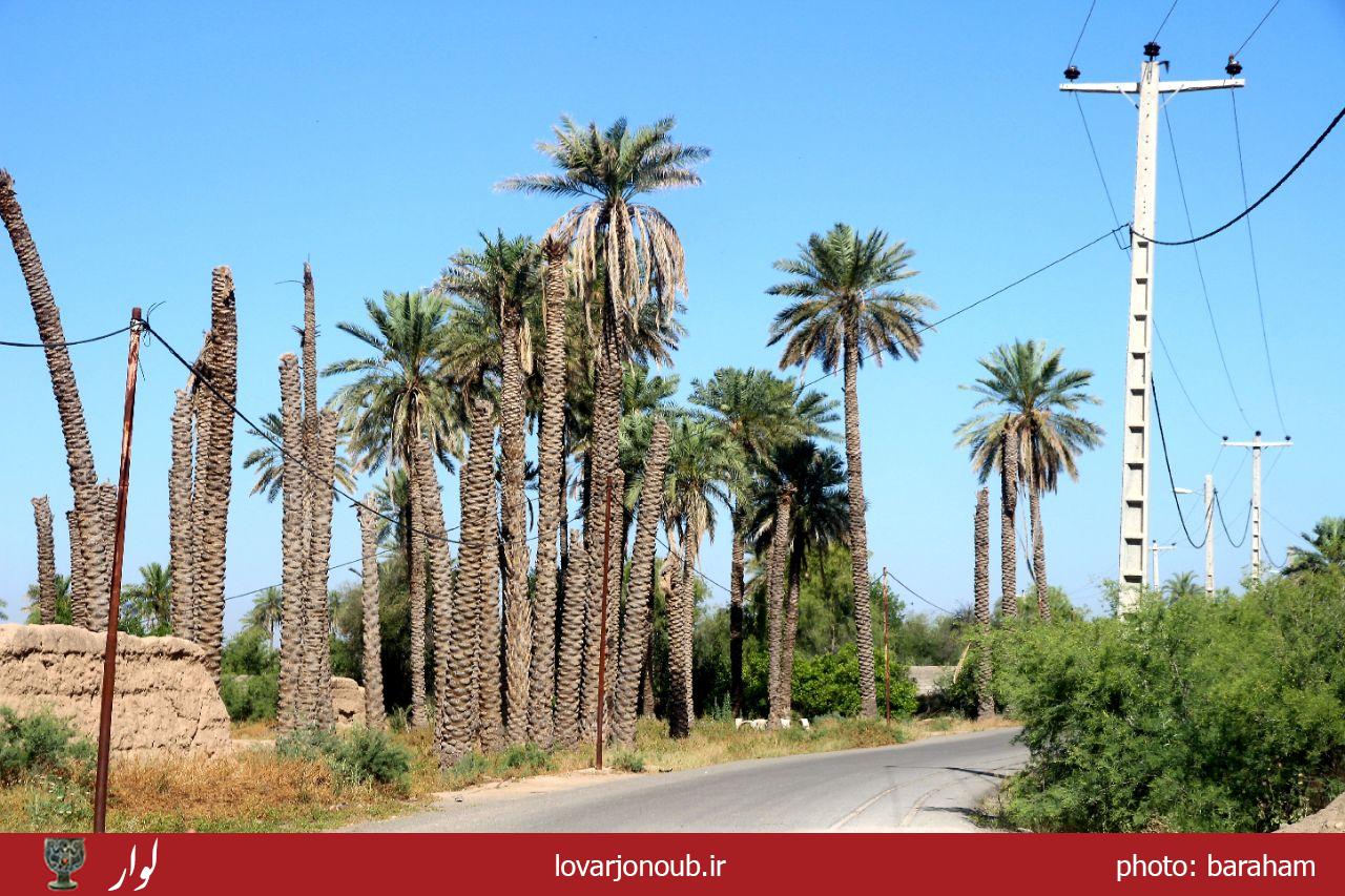 بندر دوساری