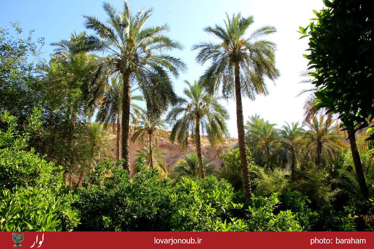 بندر دوساری