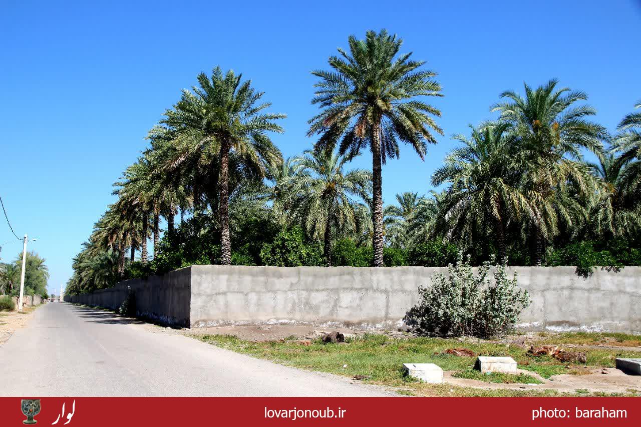 بندر دوساری