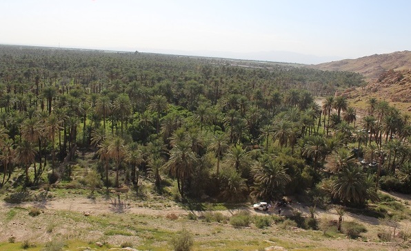 بندر دوساری